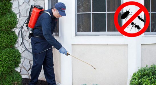Beykoz Böcek İlaçlama böcek ilaçlama ve haşere kontrolü — ilaclama-tr.com